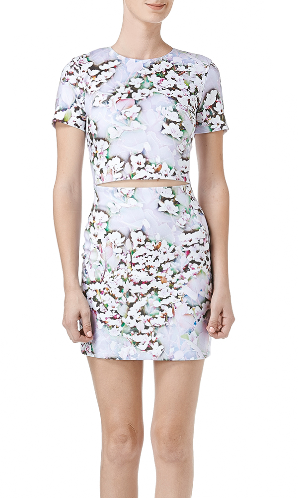 Printed Cut out dress